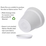 Macramé Plant Shelf with Mango Wood | Hanging Wall Decor