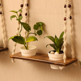 Macramé Plant Shelf with Mango Wood | Hanging Wall Decor